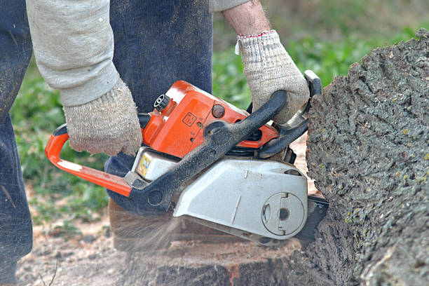 Mulching Services in Bell Canyon, CA